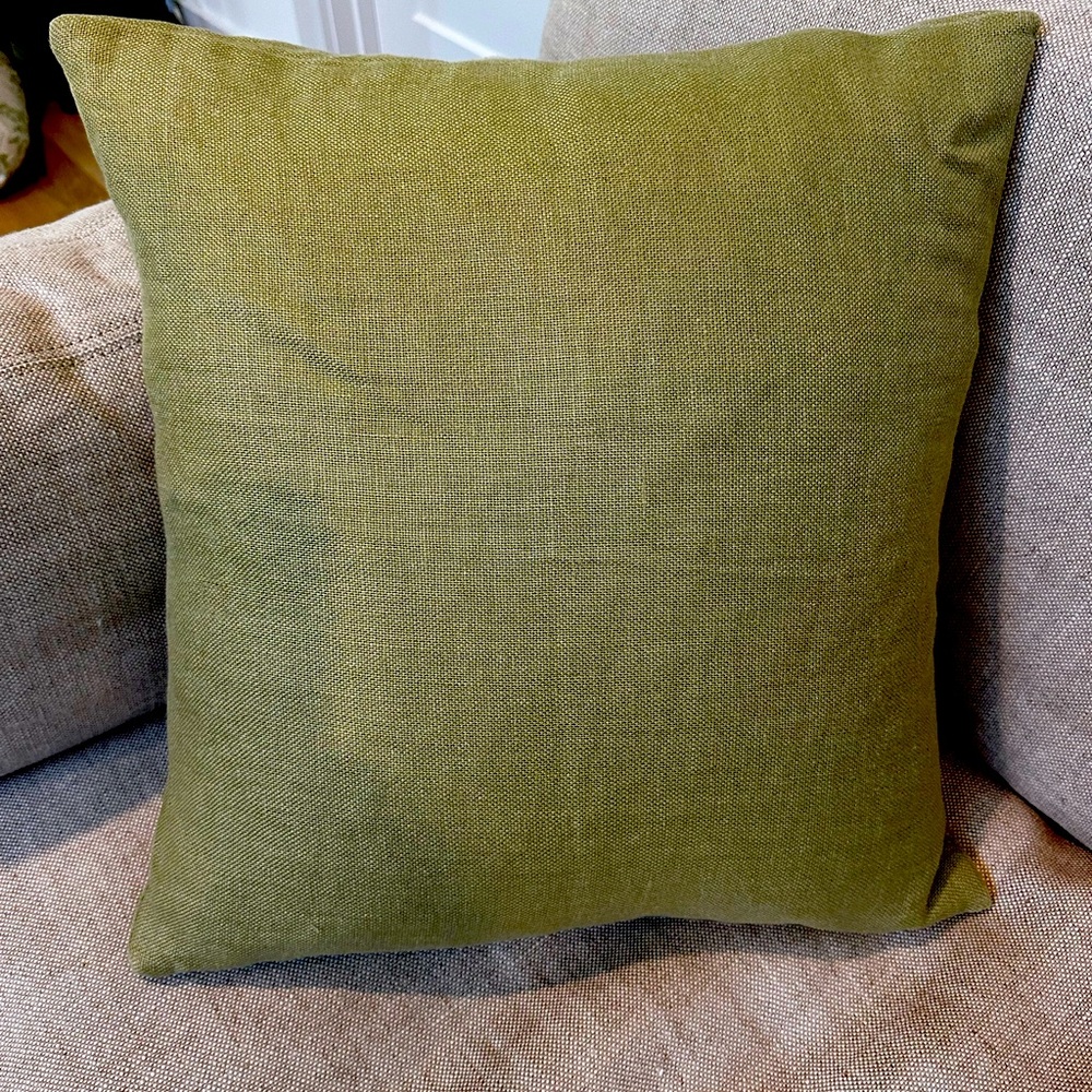 Gorgeous Crate&Barrel accent Pillow with insert